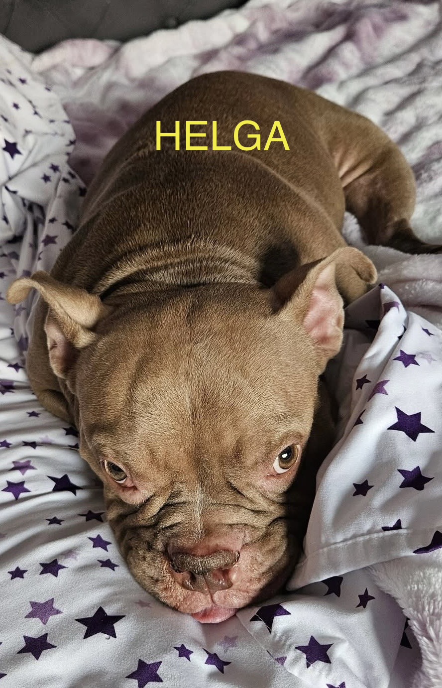 Helga