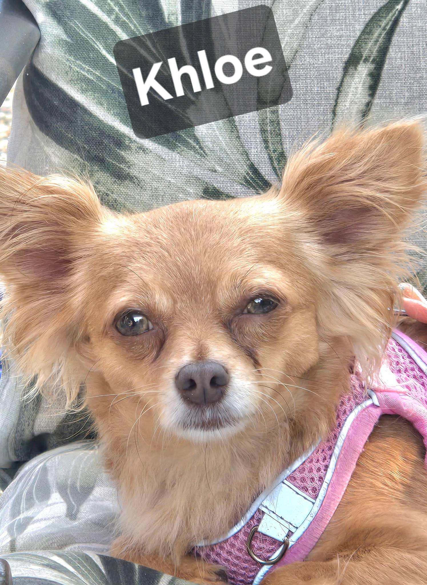 KHLOE