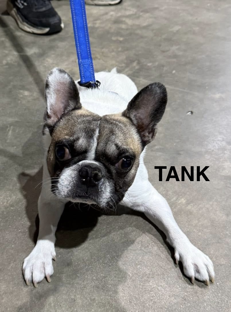 TANK